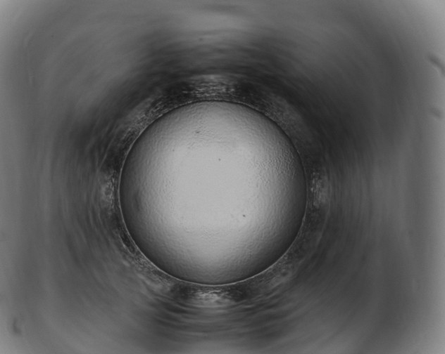 X0000103330753200809121210