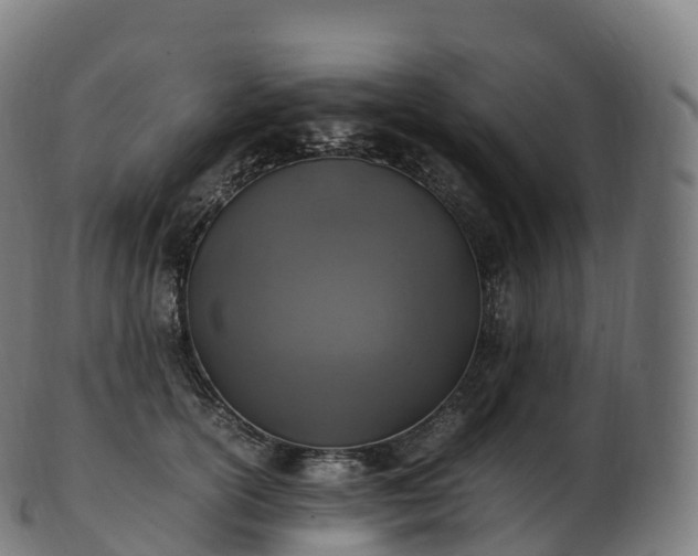 X0000103330754200809121210