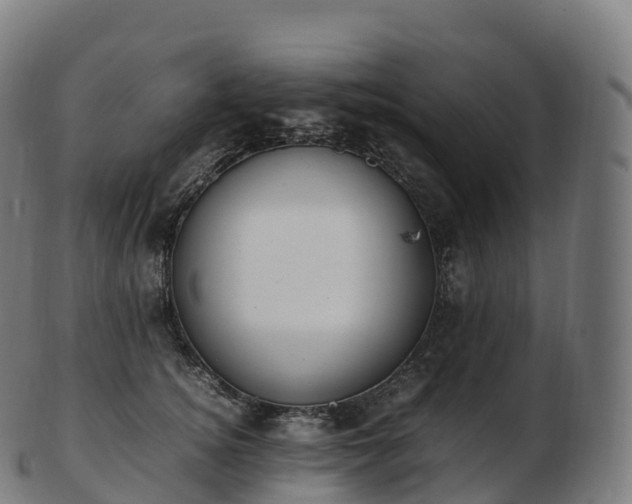 X0000103330756200809121210