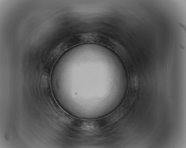 X0000103330757200809121210