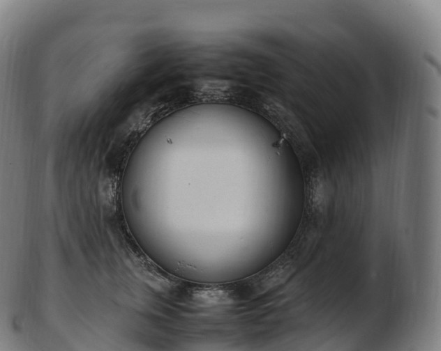 X0000103330759200809121210