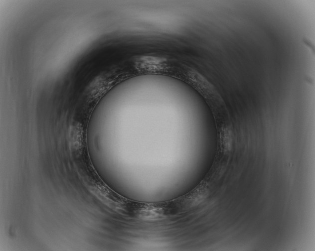 X0000103330760200809121210