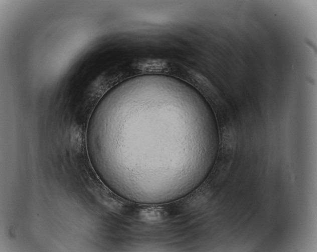 X0000103330761200809121210