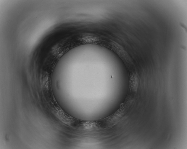 X0000103330762200809121210