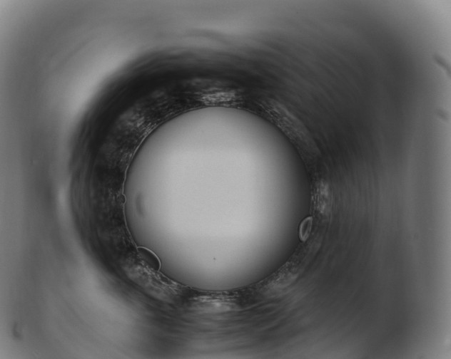 X0000103330763200809121210