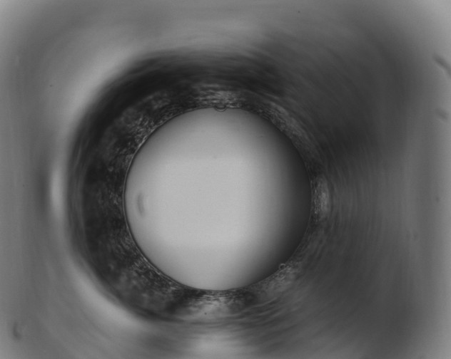 X0000103330764200809121210