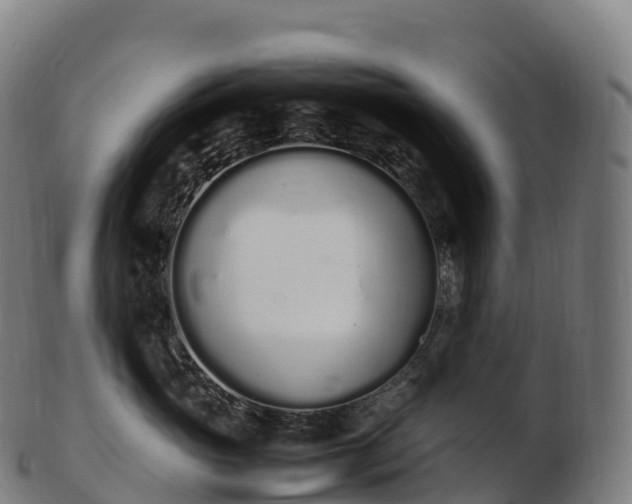 X0000103330765200809121210