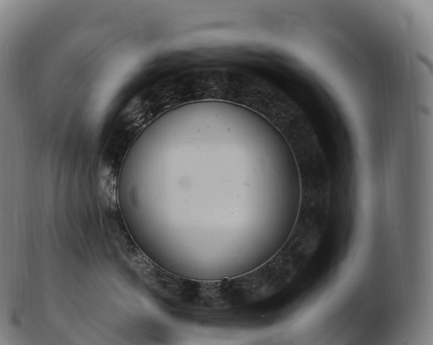 X0000103330766200809121210