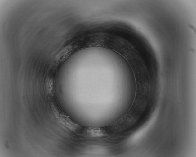 X0000103330767200809121210