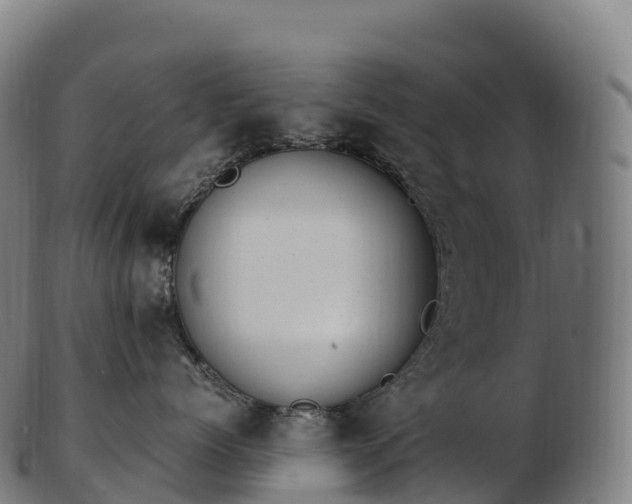 X0000103330768200809121210