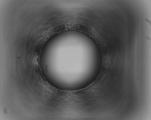 X0000103330770200809121209