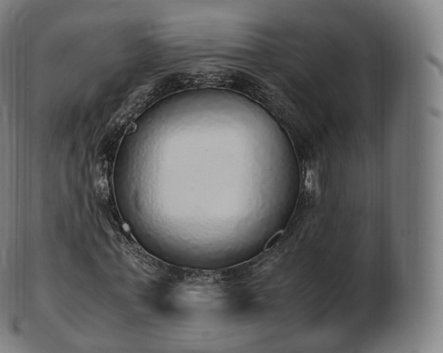 X0000103330771200809121209