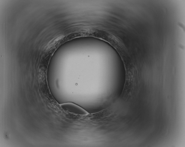 X0000103330773200809121209