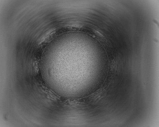 X0000103330774200809121209