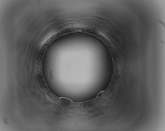 X0000103330775200809121209