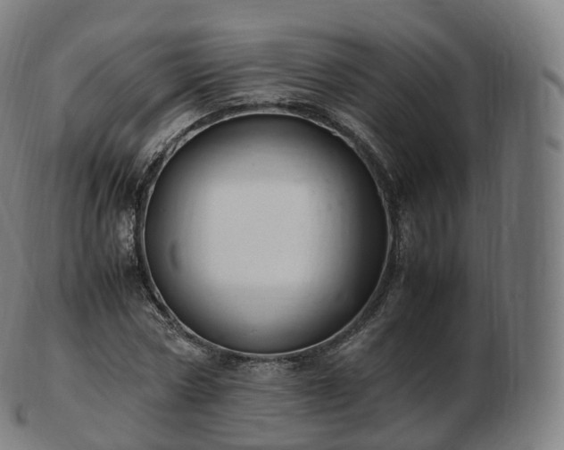 X0000103330778200809121209