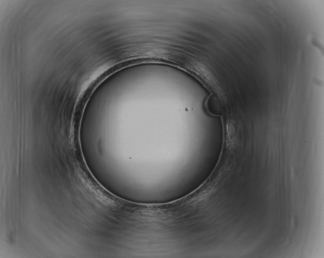 X0000103330780200809121209