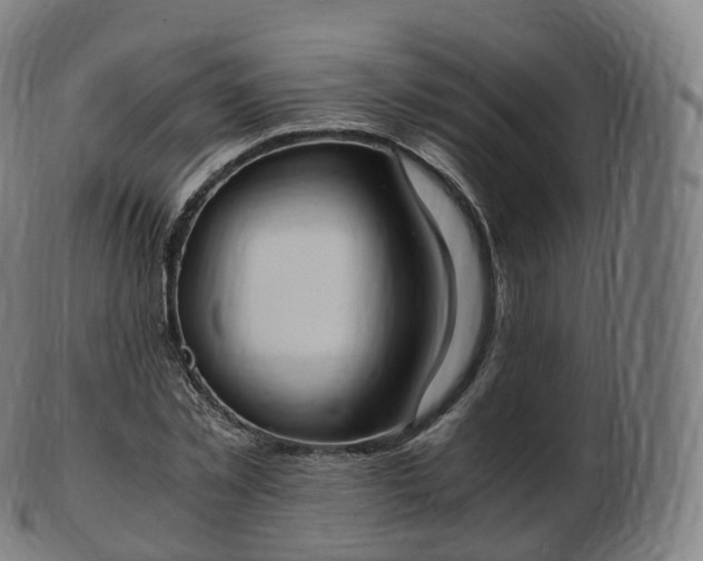 X0000103330781200809121209