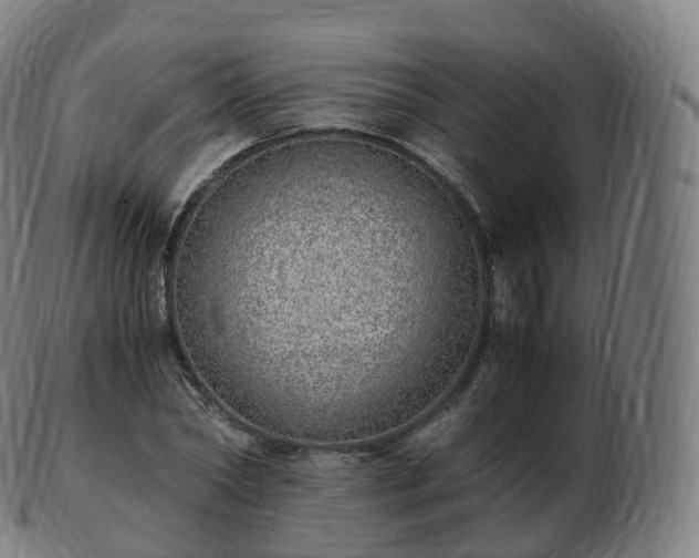 X0000103330782200809121209