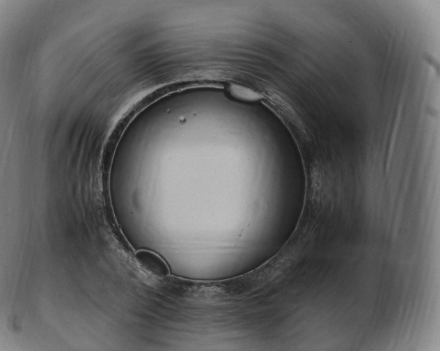 X0000103330784200809121209