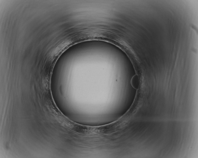 X0000103330785200809121209