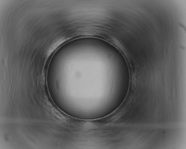 X0000103330787200809121209