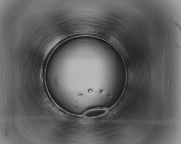 X0000103330788200809121209