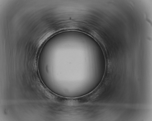 X0000103330789200809121209