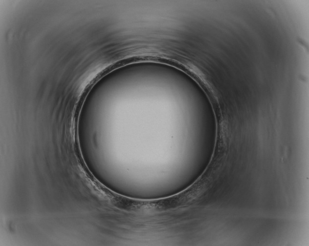 X0000103330791200809121209