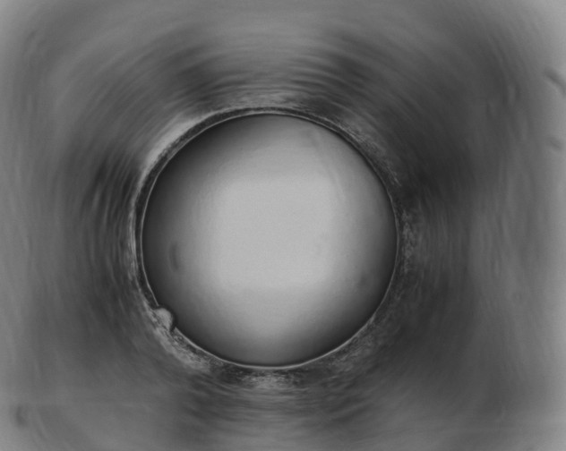 X0000103330792200809121209