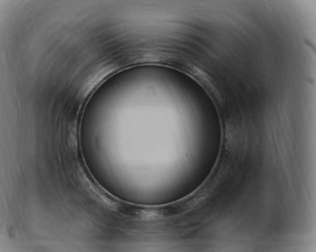 X0000103330794200809121209