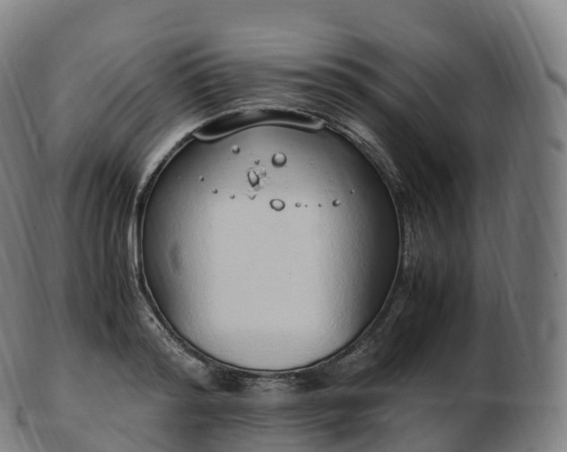 X0000103330796200809121209