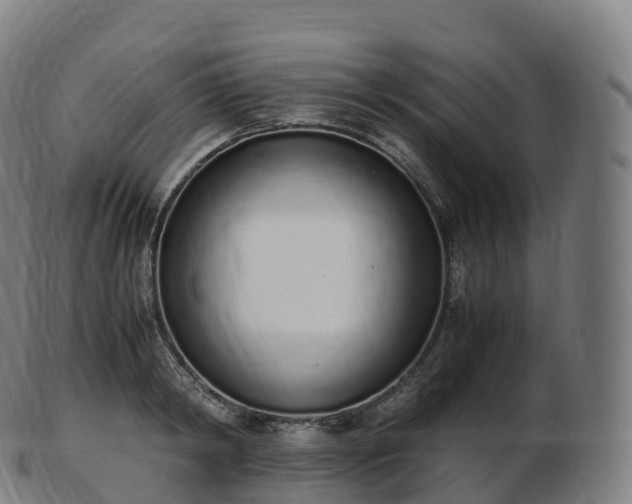 X0000103330798200809121209