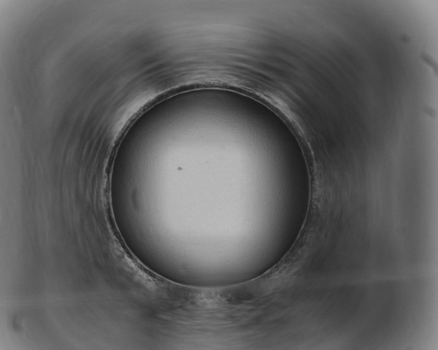 X0000103330799200809121209