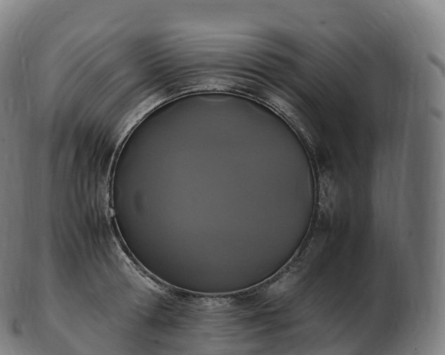 X0000103330802200809121209