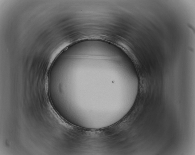 X0000103330804200809121209