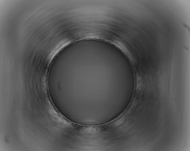 X0000103330806200809121209