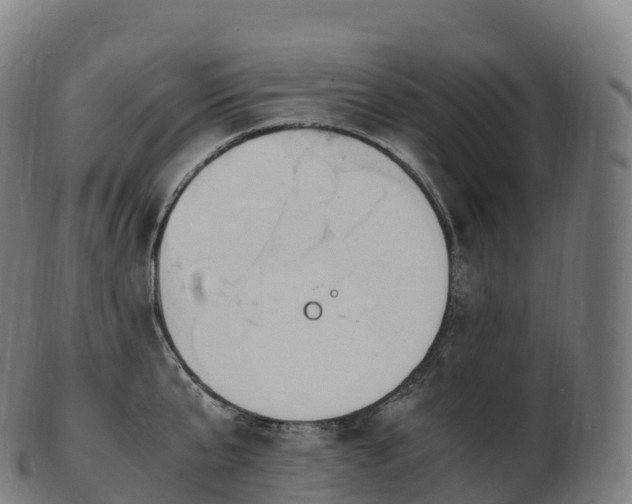 X0000103330807200809121209