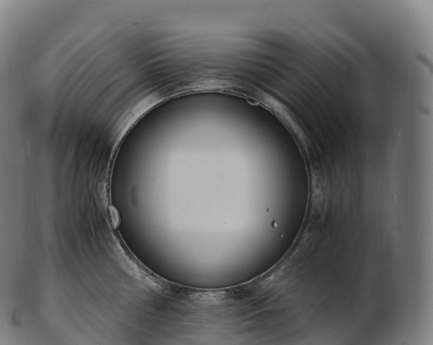 X0000103330810200809121209