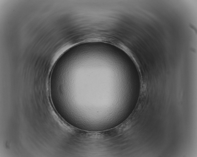 X0000103330811200809121209