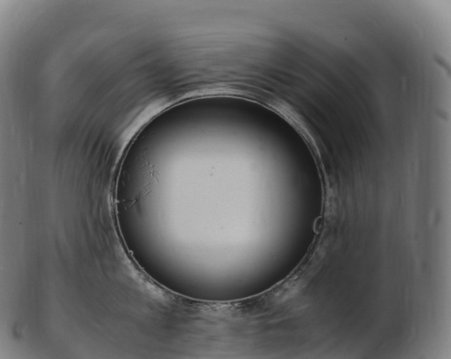 X0000103330813200809121209