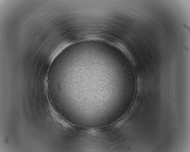 X0000103330814200809121209