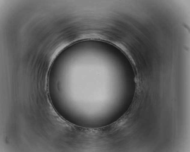 X0000103330815200809121209