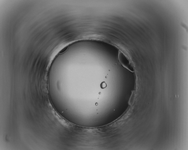 X0000103330816200809121209