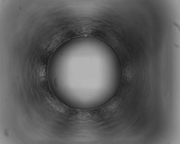 X0000103330818200809121208