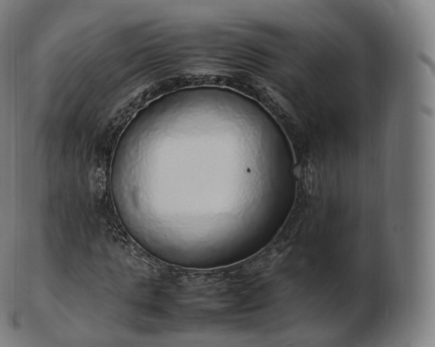 X0000103330821200809121208