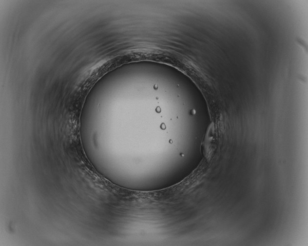 X0000103330822200809121208