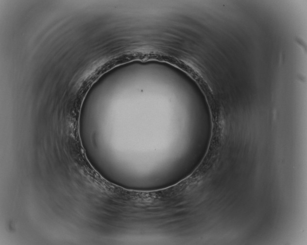 X0000103330823200809121208