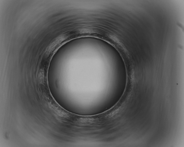 X0000103330825200809121208