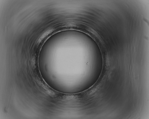 X0000103330826200809121208